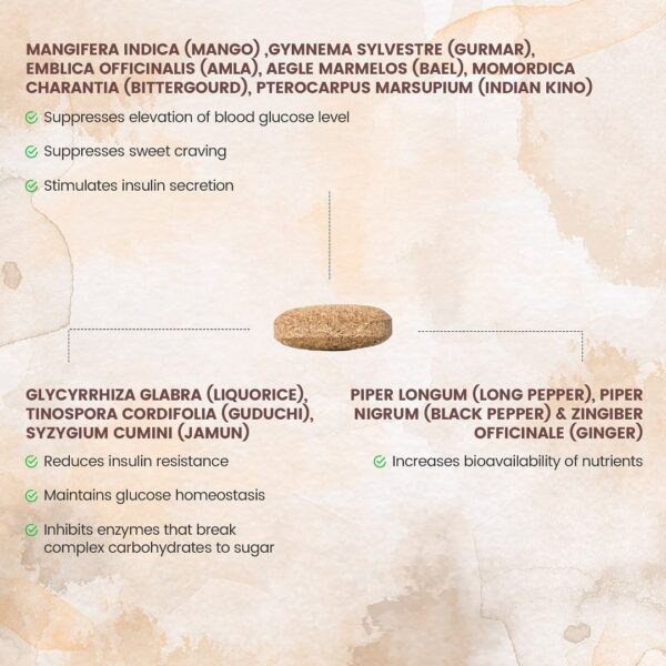 Advance Nutricharge Glycem Pro Diet(500g) - Image 3