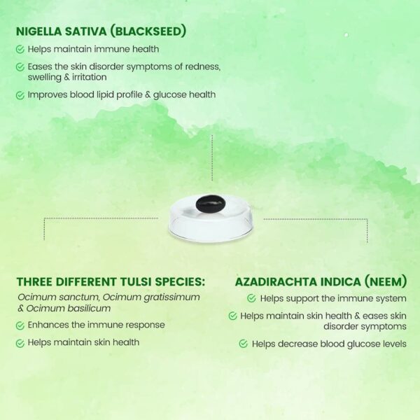 Advance Nutricharge S5 - Image 4