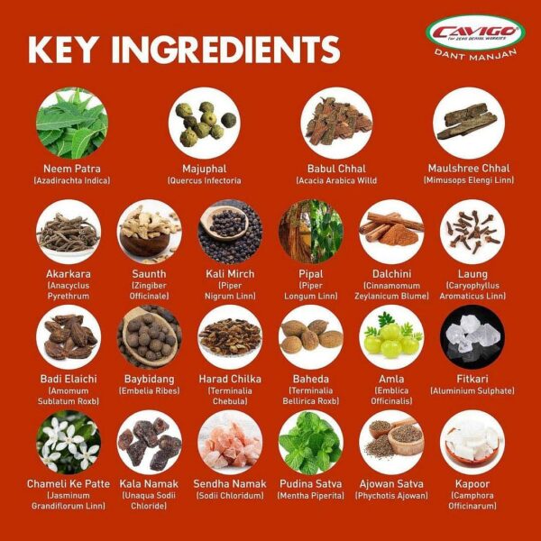 Rcm Cavigo Dant Manjan(75g) - Image 4