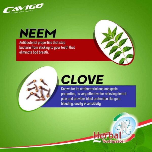 Cavigo Herbal Tooth Paste(100g) - Image 4