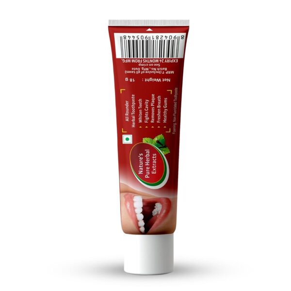 All Rounder Tooth Paste(18g) - Image 6