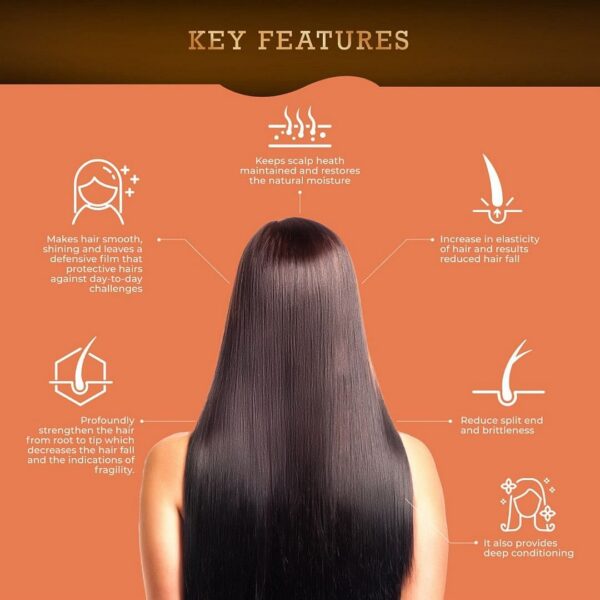 Shinol Hairfall Control Shampoo (80ml) - Image 4
