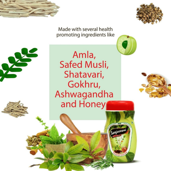 Sanjeevani Prash Awaleh(500g) - Image 4