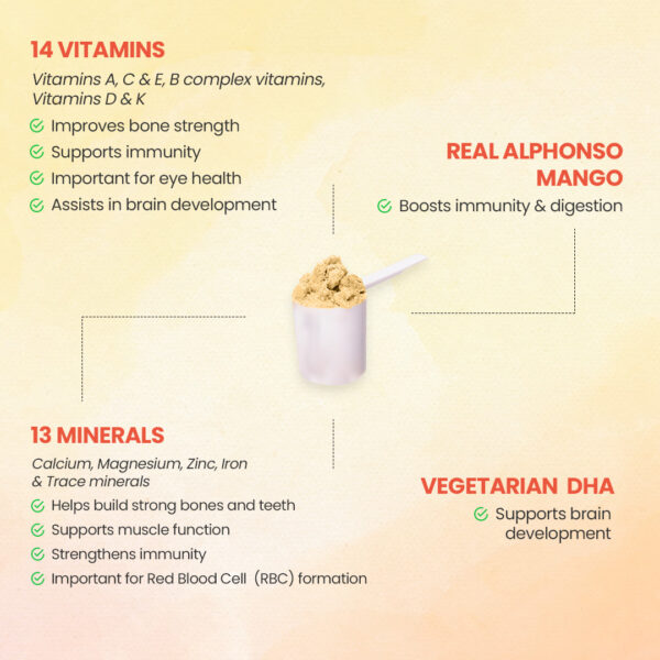 Advance Nutricharge Kids Mango(300g) - Image 3