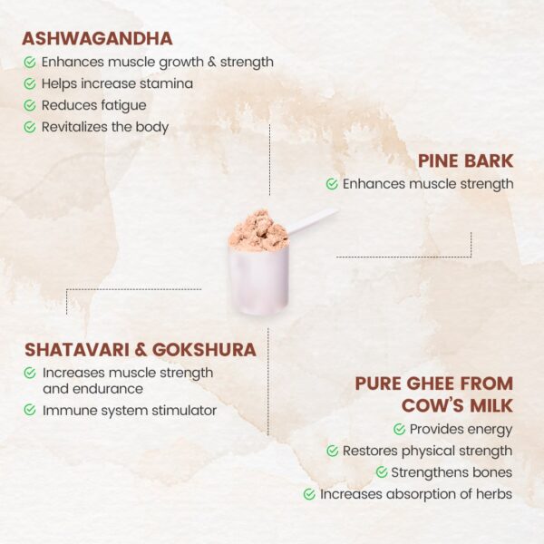 Advance Nutricharge Gainer(500g) - Image 4