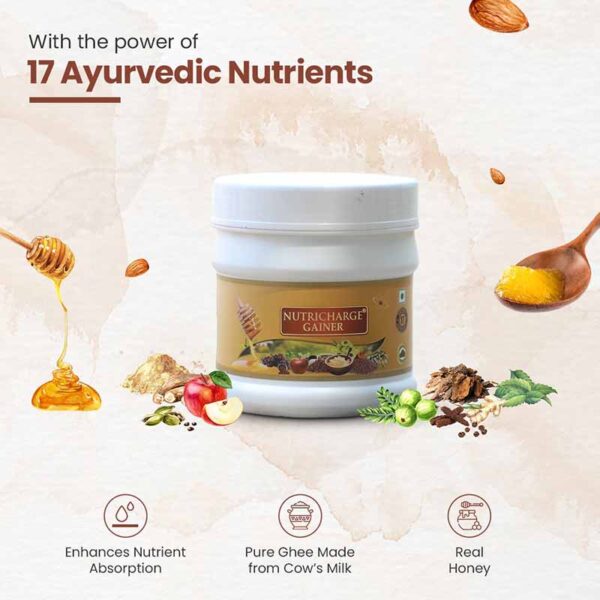 Advance Nutricharge Gainer(500g) - Image 2