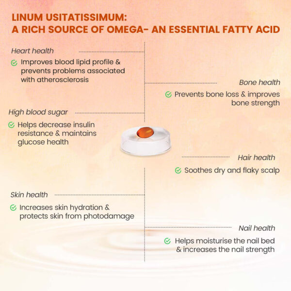 Advance Nutricharge Veg Omega - Image 4