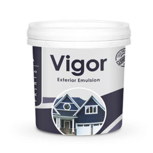 Vigor Exterior Emulsion 01 Ltr (base 01)